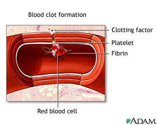 Blood clotting