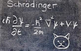 Schroedingers Cat