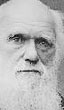 Darwin Debunked