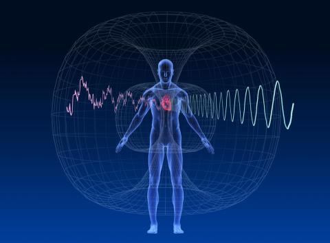 Human Heart Emotions