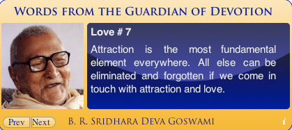 Guardian of Devotion - Sridhar Goswami
